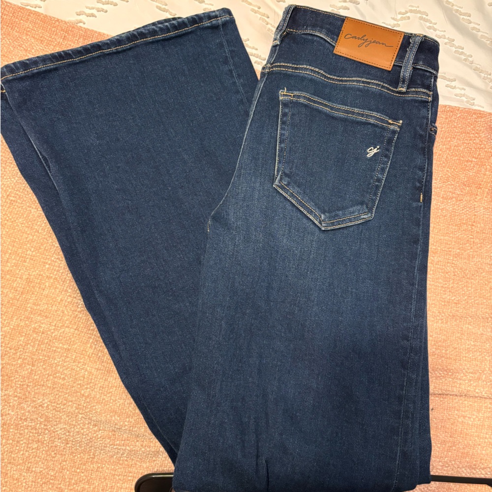 Morgan Dark Wash Wide Leg Flare Jeans